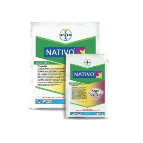 FUNGISIDA SISTEMIK NATIVO 50 GR BAYER