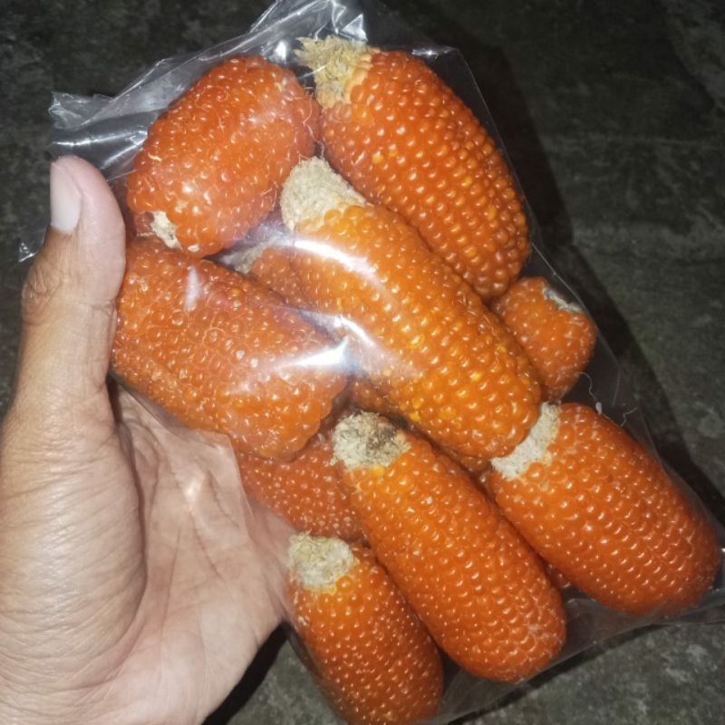 Snack hamster jagung mini kering/mini dried corn/makan hamster
