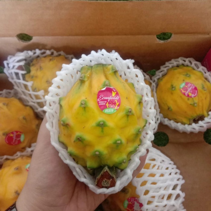 

Buah Naga Kuning Import 1 kg