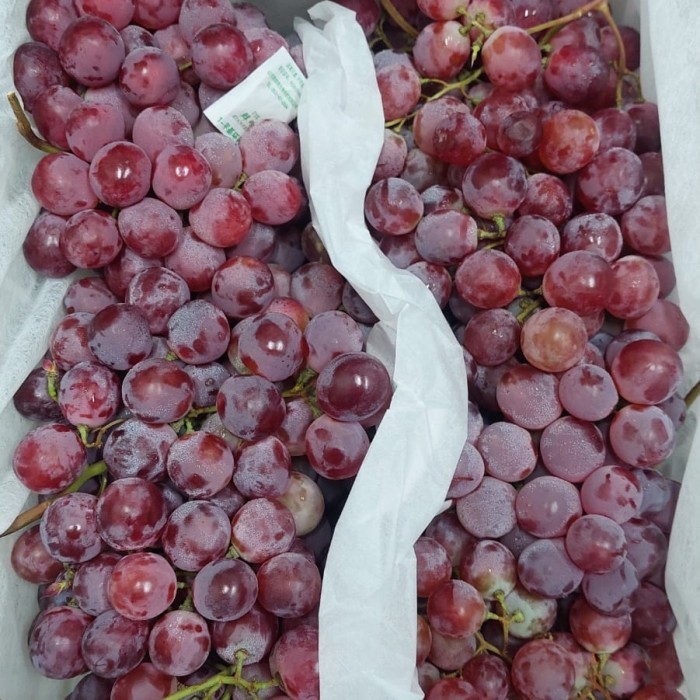 

anggur red globe manis