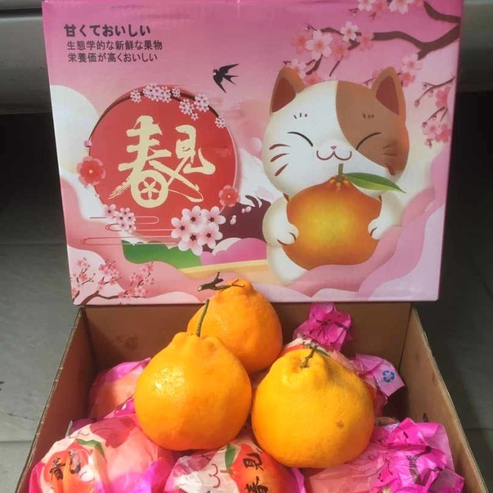 

Jeruk Dekopon Papagan Chunjian hampers box