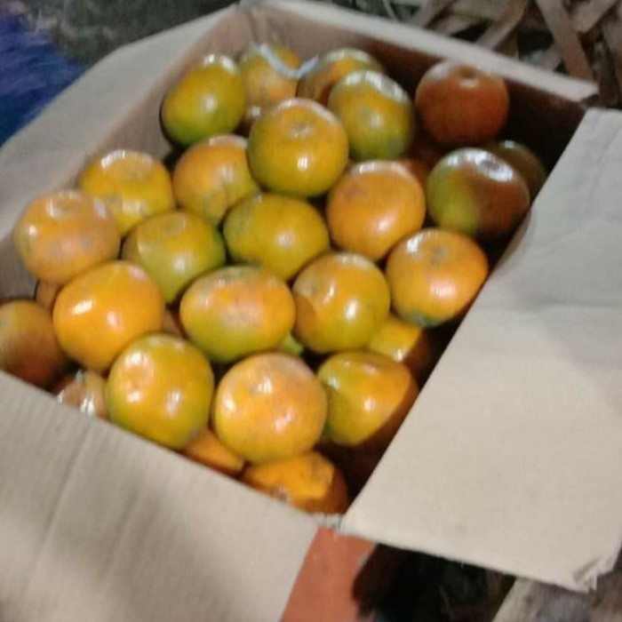 

jeruk medan Berastagi - harga per 1 dus