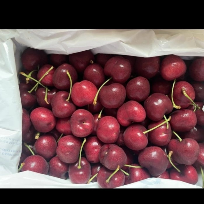 

BUAH CERRY TASMANIA 43 JUMBO FRESH MANIS PER 1 KG