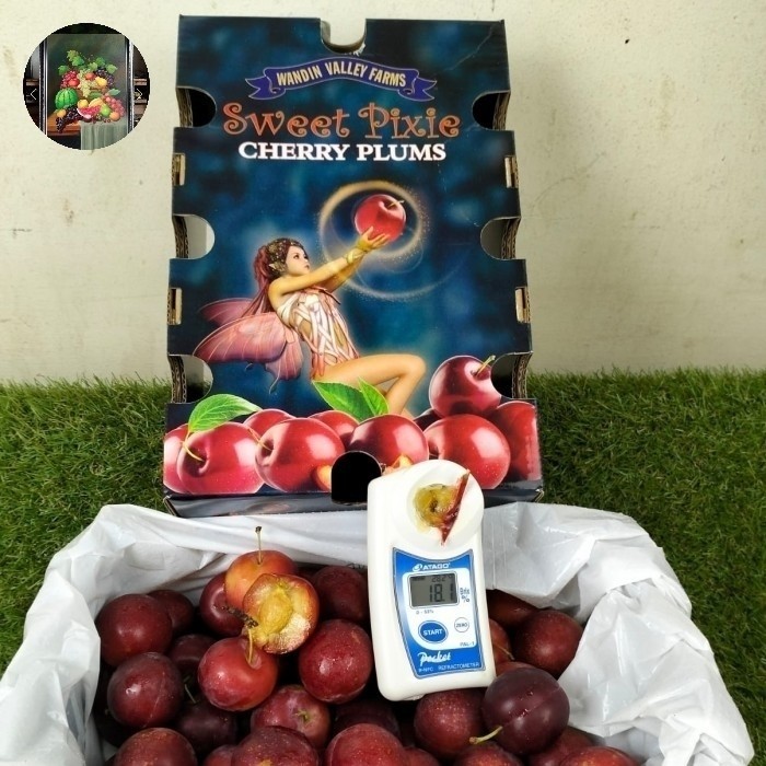 

Buah plum cherry manis gift box 2kg