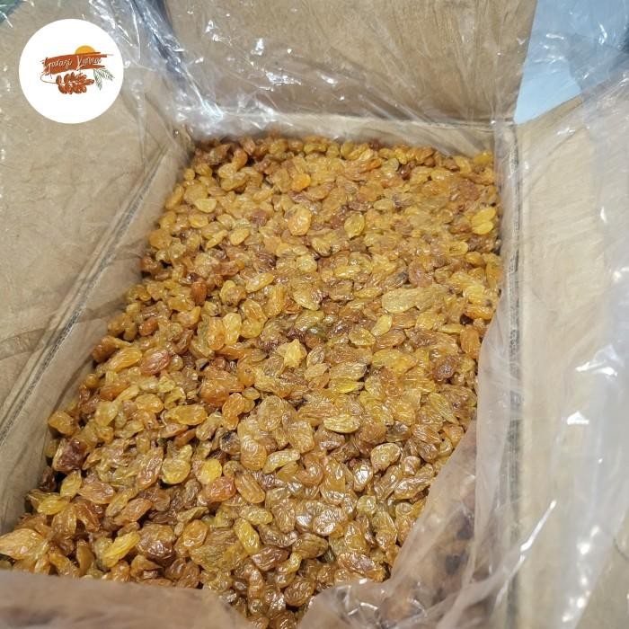

Kismis Golden Yellow Raisins 10Kg Asam Manis Terlaris 100 % Original