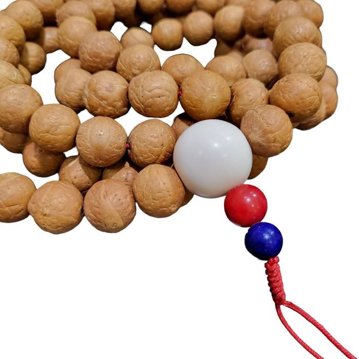 Tasbih Mala Biji Bodhi 12 Mm Blessing Gonchen Monastery Tibet Termurah 100 % Original