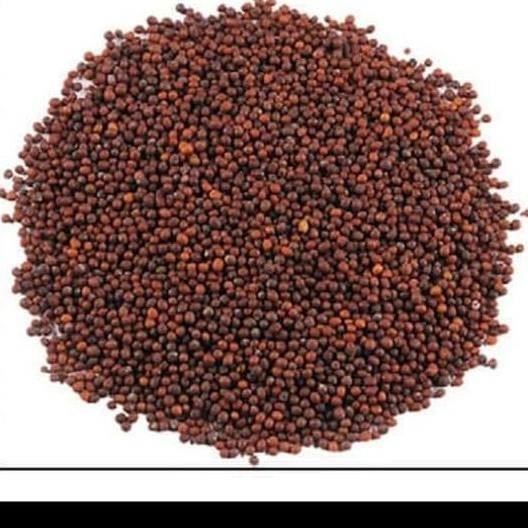 

Black MUSTARD seed 500 gram/ biji sawi hitam