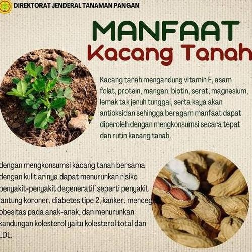 

1000gr Roasted Kacang Tanah Kupas - Oven - Panggang - Rasa Original/Asin - Ukuran Kecil/ Sedang/ Besar