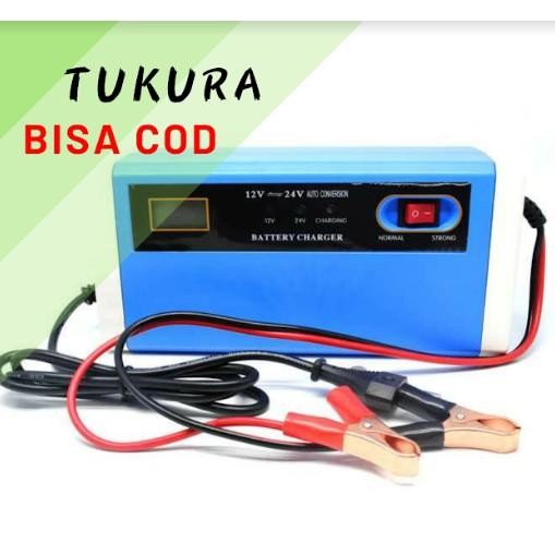 Cas Aki Otomatis Cas Aki Mobil Dan Motor 12V 24V 10A
