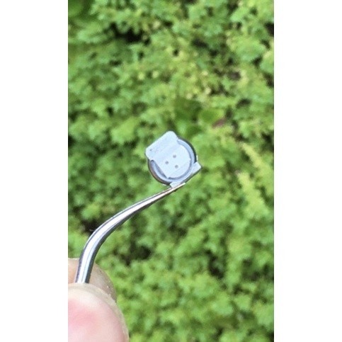 PROMO Battery Cmos Psp 3000