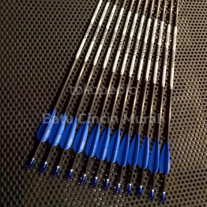 PROMO Arrow Easton Carbon Avance - Anak Panah Bima Archery Panahan Murah