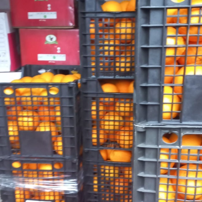 

Sunkist valencia egypt ( 1 karton 15 kg)