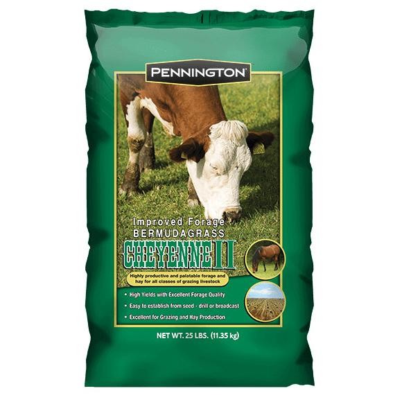 benih rumput pakan ternak 250 gram-benih rumput pakan hewan