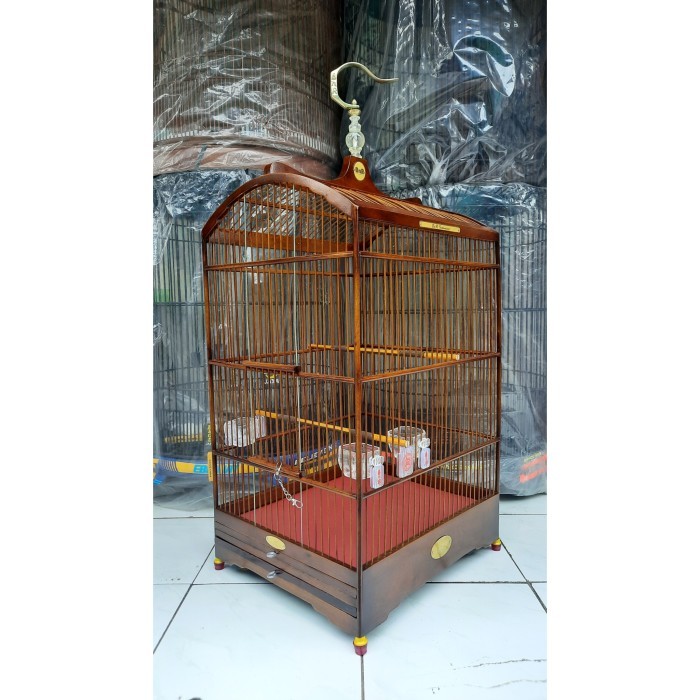 SANGKAR KOTAK BNR REBORN LOGO TERBARU