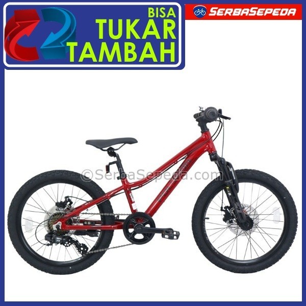 Sepeda MTB Sepeda Polygon Relic 20