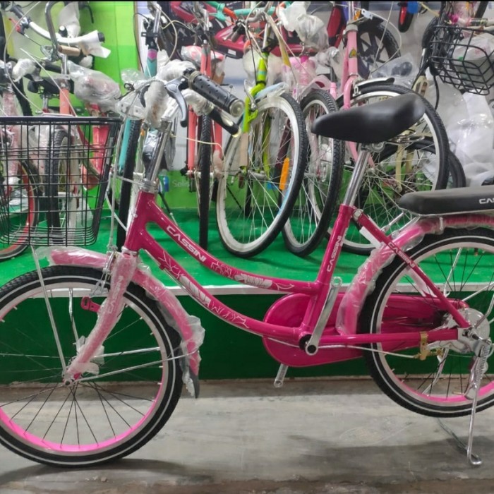 Sepeda Keranjang 20 inch Trex Cassini sepeda mini