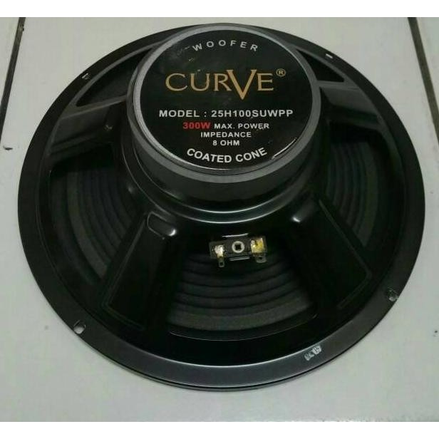 Speaker CURVE 10 Inch