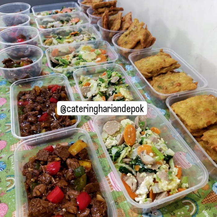 

Catering Mingguan Menu Catering Paket Mingguan 5 hari Lauk Mateng