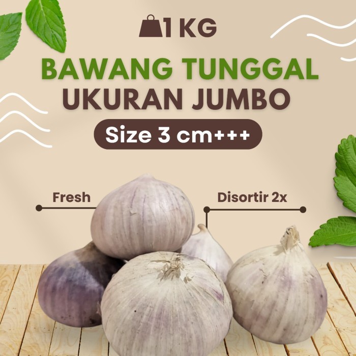 

Bawang Putih Tunggal Lanang JUMBO 2.5 - 3 Cm 1 KG
