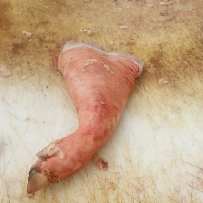 

KAKI BABI DEPAN/ LACONE PORK (ITUNGAN HARGA SATUAN/BH)