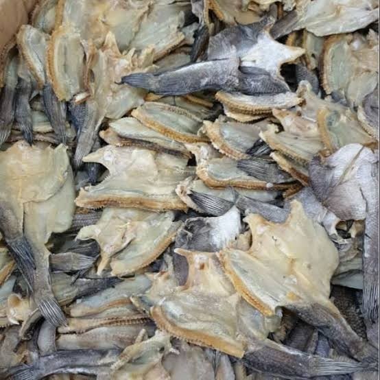 

SALE TERLARIS IKAN ASIN GABUS BESAR DAN KECIL READYY