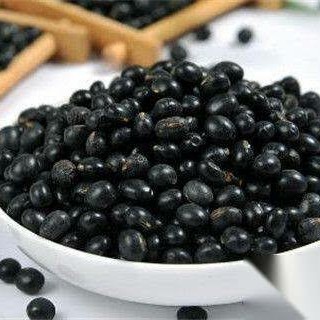 

SALE TERLARIS 600GR HERBAL HEI DOU KACANG HITAM BLACK BEANS TURTLE BEANS READYY