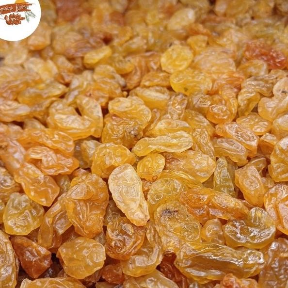 

I Golden Yellow Raiin 1G