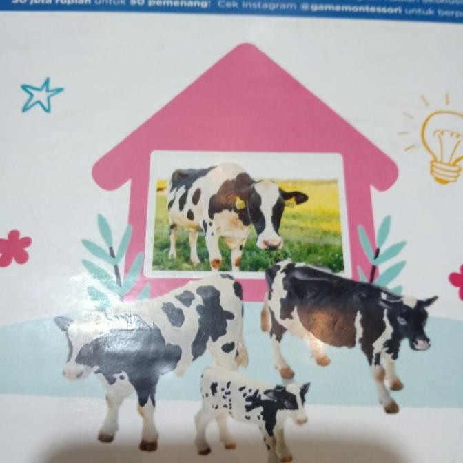 

Promo Monsterssori Animals Series With Large Picture Card Animals - Cow COD