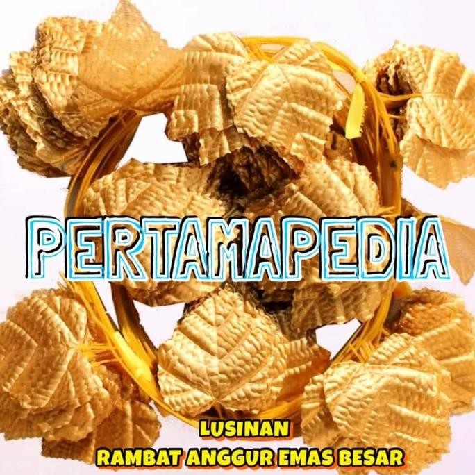 Lusinan Daun Rambat Plastik/ Daun Rambat Artificial/ Daun Emas