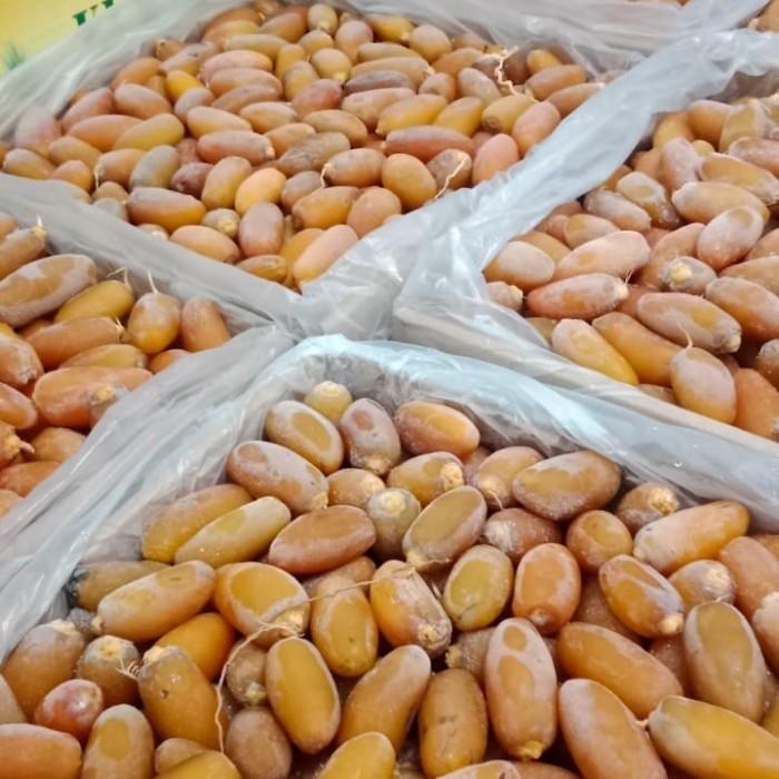 

kurma ruthob libya 5kg