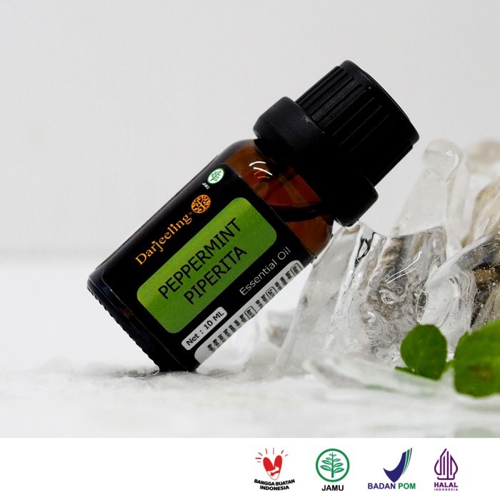 

NEW 10ml Peppermint Piperita Essential Oil / Minyak Daun Mint 100% Murni