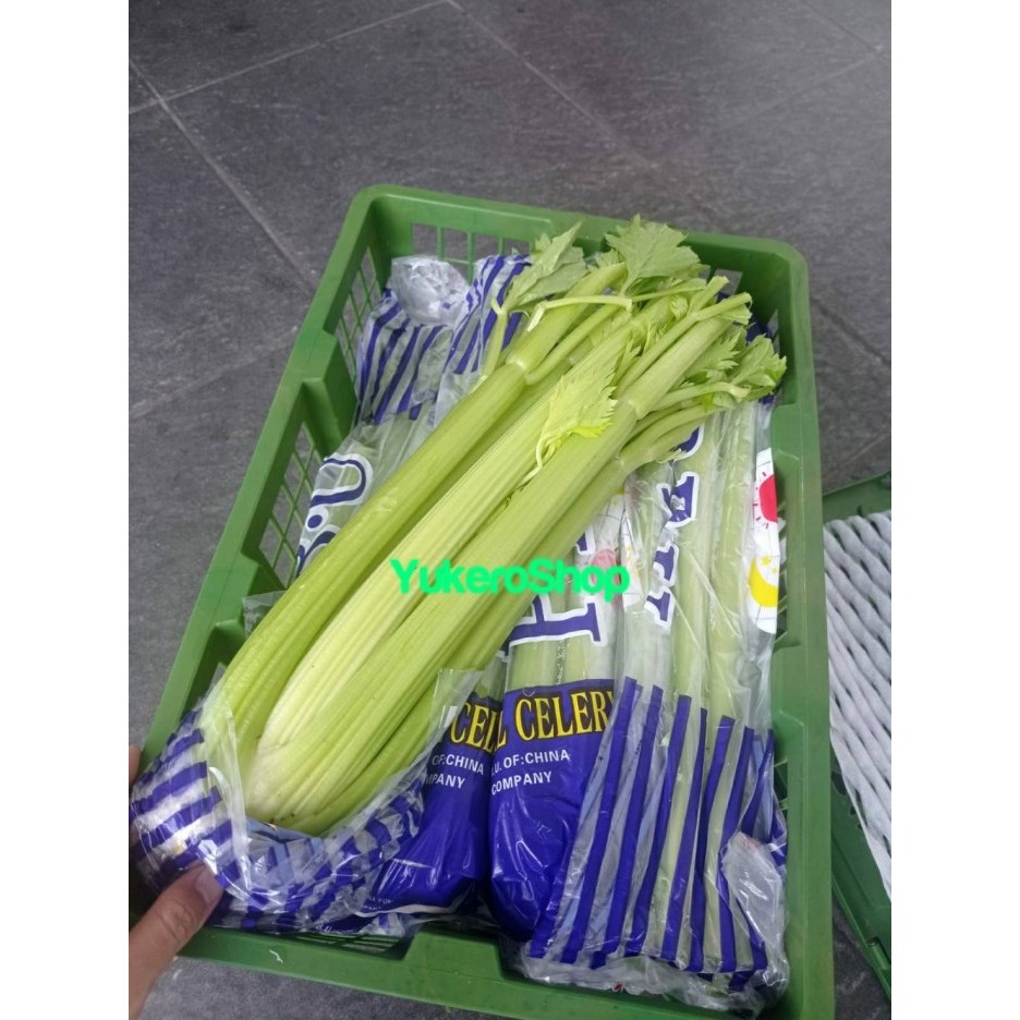 

LIMITED EDITION Celery Stick Import / Seledri Stik Impor per 10 Kg