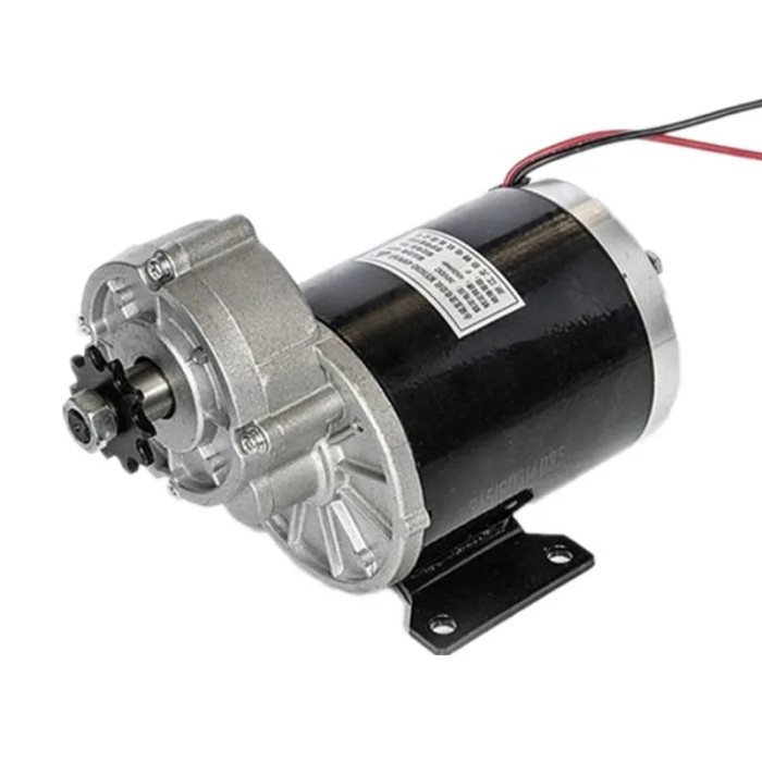 600W 36 V 48V GEAR MOTOR ,BRUSH MOTOR ELECTRIC TRICYCLE DC GEAR