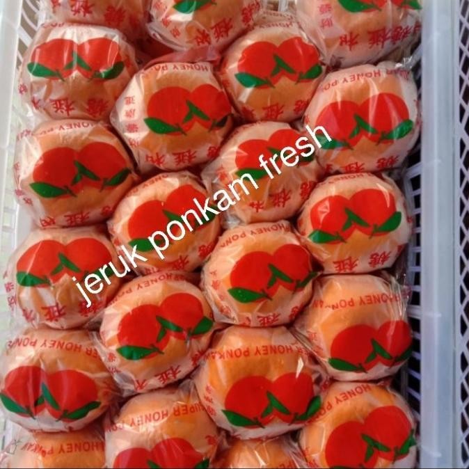 

SALE! JERUK PONKAM FRESH PER 1 KRANJANG / DUS BERAT (9) KG