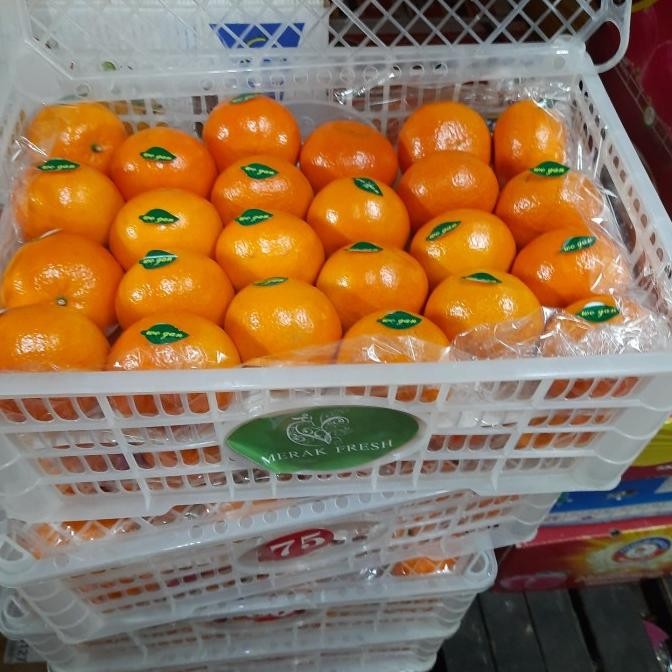 

SALE! JERUK KUPAS WOKAM MANIS IMPOR / KERANJANG (-+ 8,5 KG