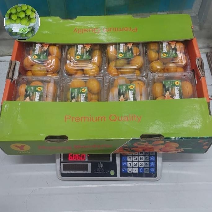 

SALE! SANTANG L BUAH JERUK SANTANG L MADU 8PCK X750GR /DUS