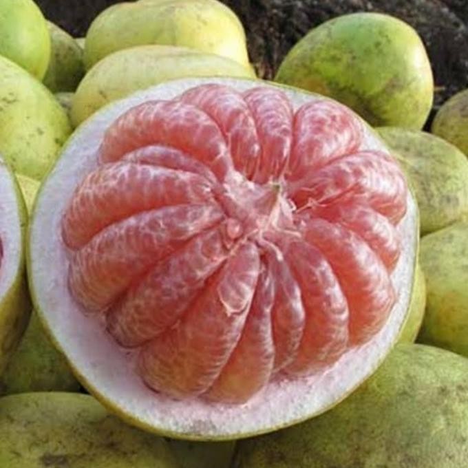 

SALE! JERUK BALI PAMELO FRESH PER PCS