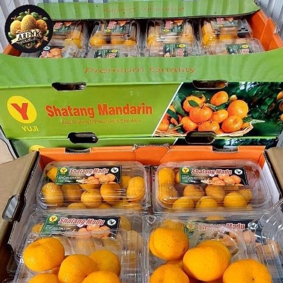 

SALE! JERUK SHANTANG MADU YUJI GOLD RASA MANIS KEMASAN PACK 1 CARTON