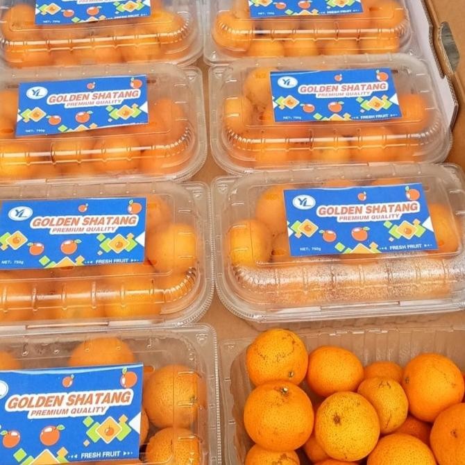

SALE! JERUK SANTANG BIRMA MANIS PER BOX