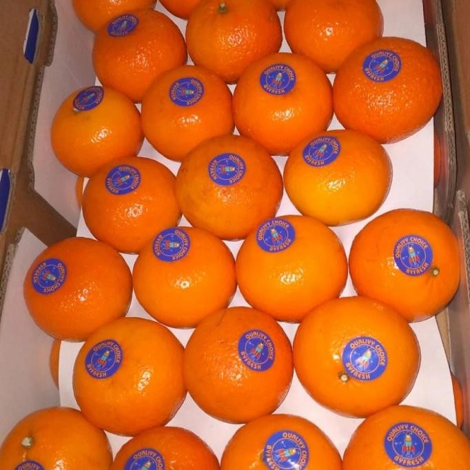 

SALE! SPESIAL PROMO JERUK WOKAM FRESH MANIS PER 1 DUS BERAT -+ 9KG MANIS