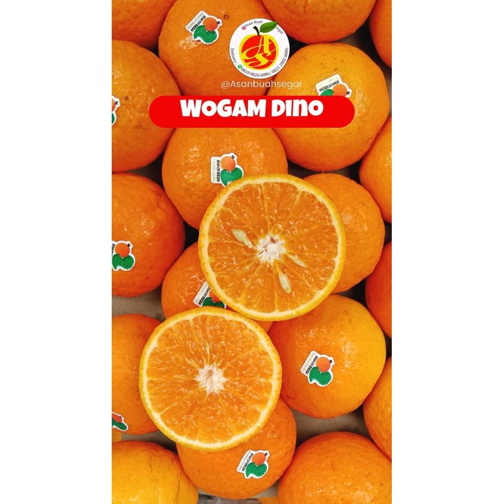 

SALE! BUAH JERUK KUPAS MANIS WOKAM WOGAM HONEY MANDARIN PONKAM LOKAM PONKAN