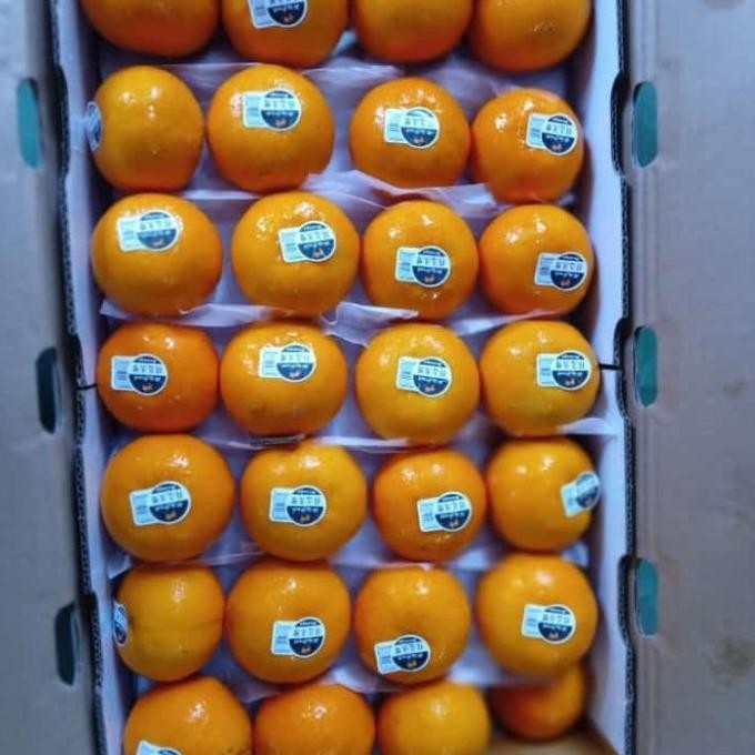 

SALE! JERUK WOGAN MANIS 1 DUS
