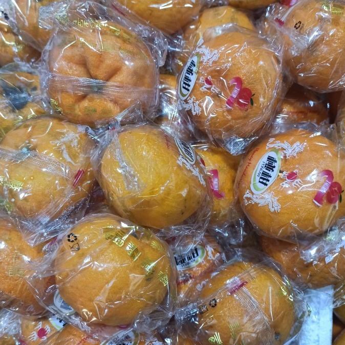 

SALE! JERUK MANDARIN PONKAM FRESH PER KG