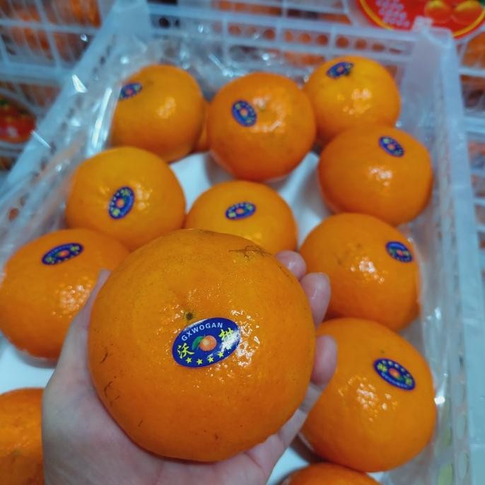 

SALE! BUAH JERUK WOKAM TANGERINE FRESH INFORT / DUS