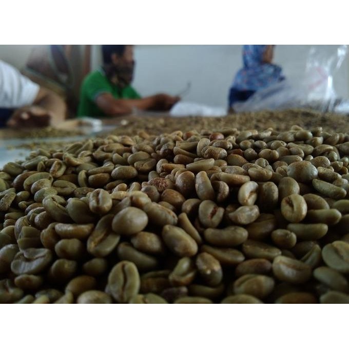 

Biji Kopi / Green Beans Arabika Puntang Natural