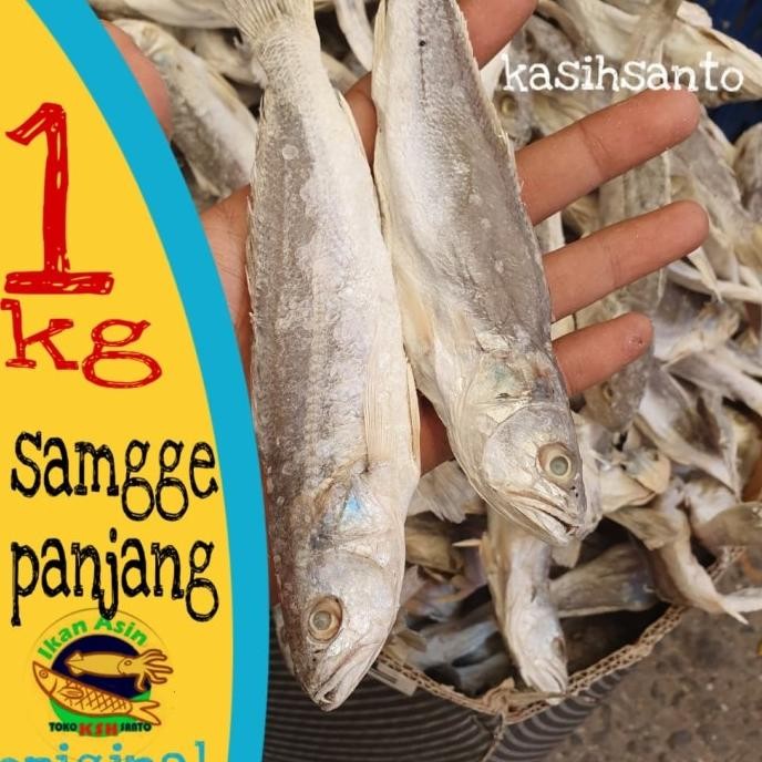 

ori - ikan asin samgge panjang 1kg