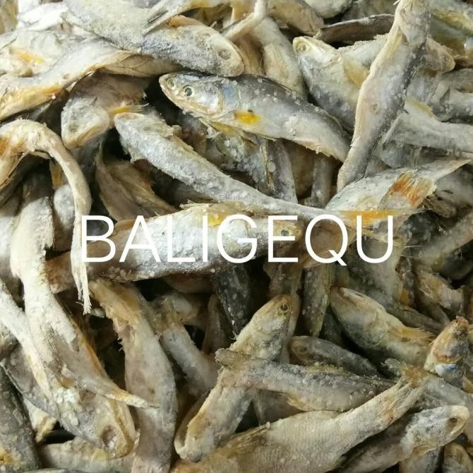 

ori - ikan asin sinangin 500 gr