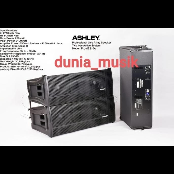 speaker line array ashley pro db210 original jual perbox