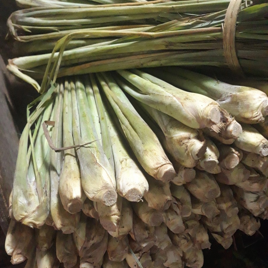 

Barang Sereh / Batang Serai Besar / Sangge sangge/ Lemongrass Fresh - 500 gram