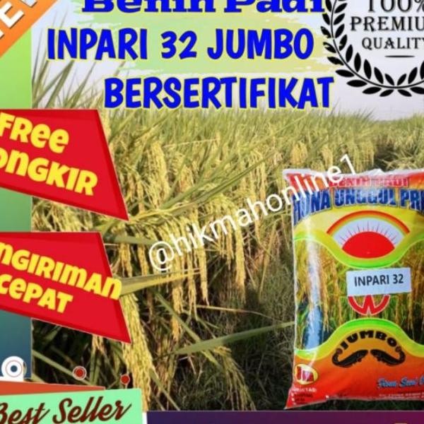 Bibit Benih Padi Inpari 32 Jumbo Bersertifikat Label Ungu Kemasan 5Kg